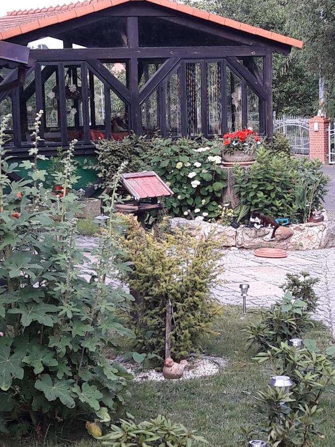 Im Dreilaendereck - Dom Przy Trzech Granicach Apartment Lesna Luaran gambar