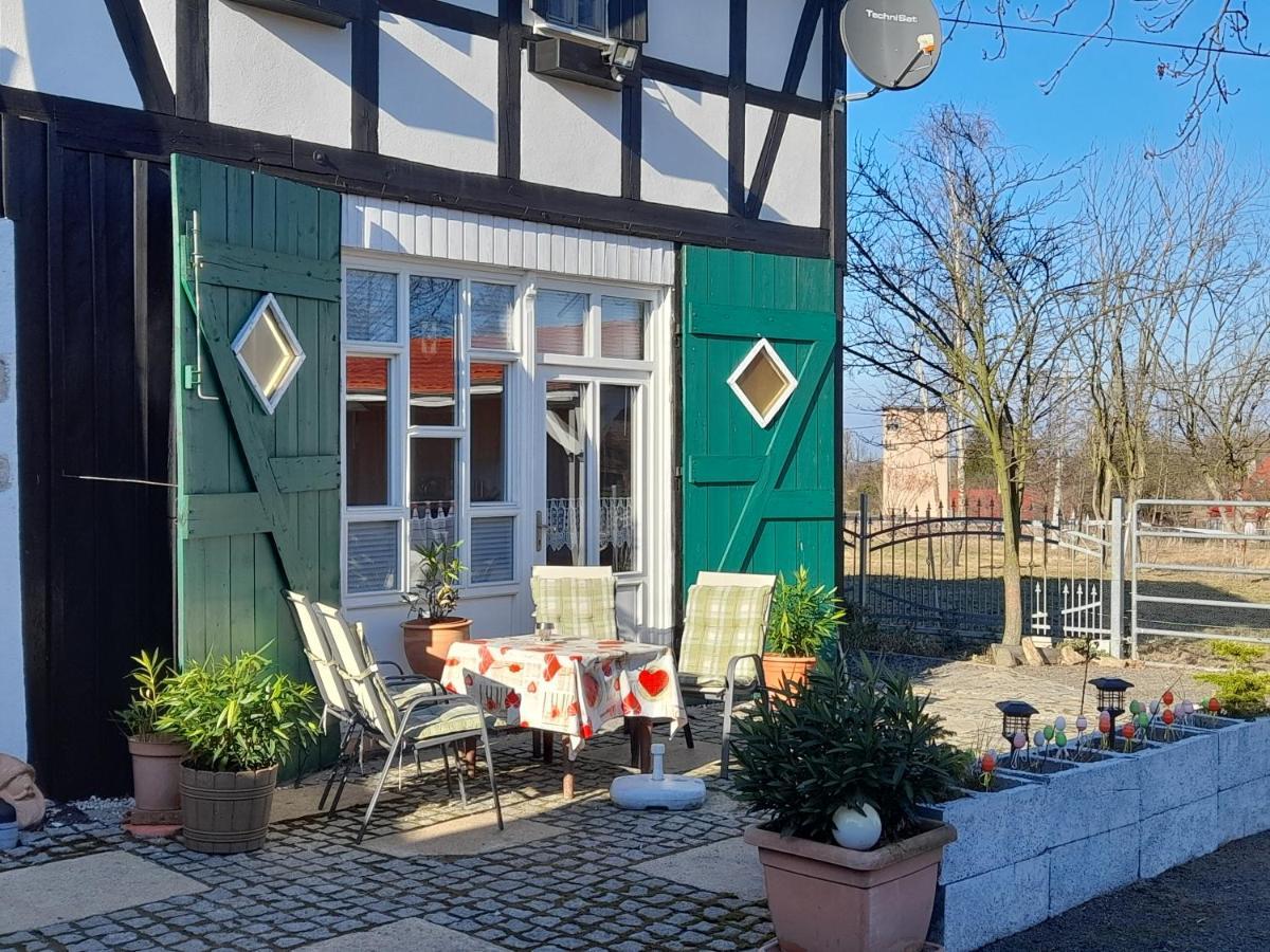 Im Dreilaendereck - Dom Przy Trzech Granicach Apartment Lesna Luaran gambar